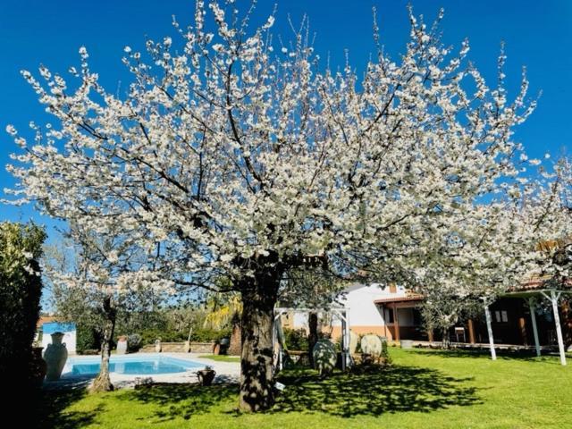 Villa "Casa Al Chiazzullo" Mirabella Eclano Kültér fotó